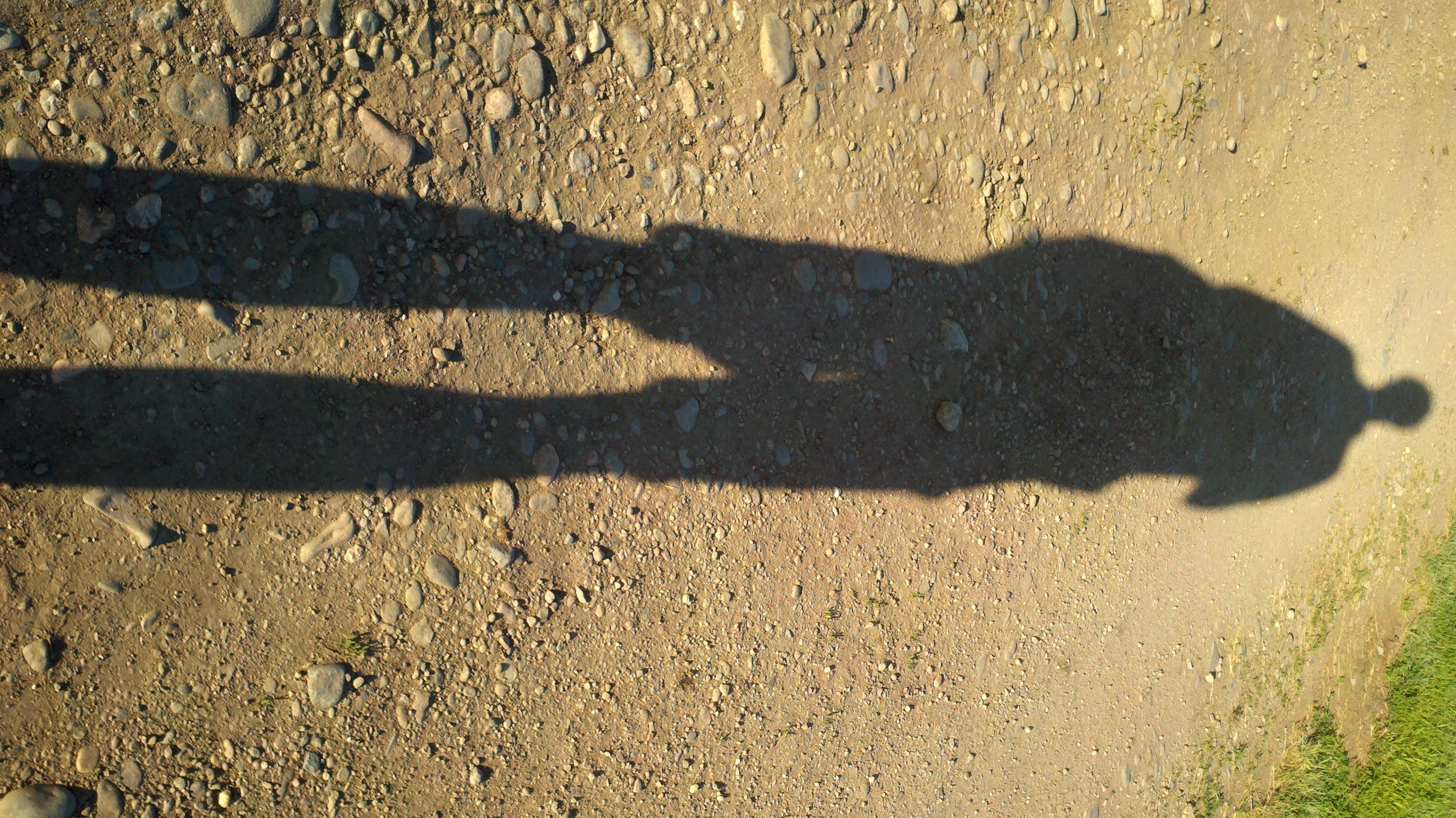 summer-13-long-shadow