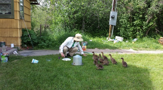 Five Recommendations for Developing a Positive Working Alliance