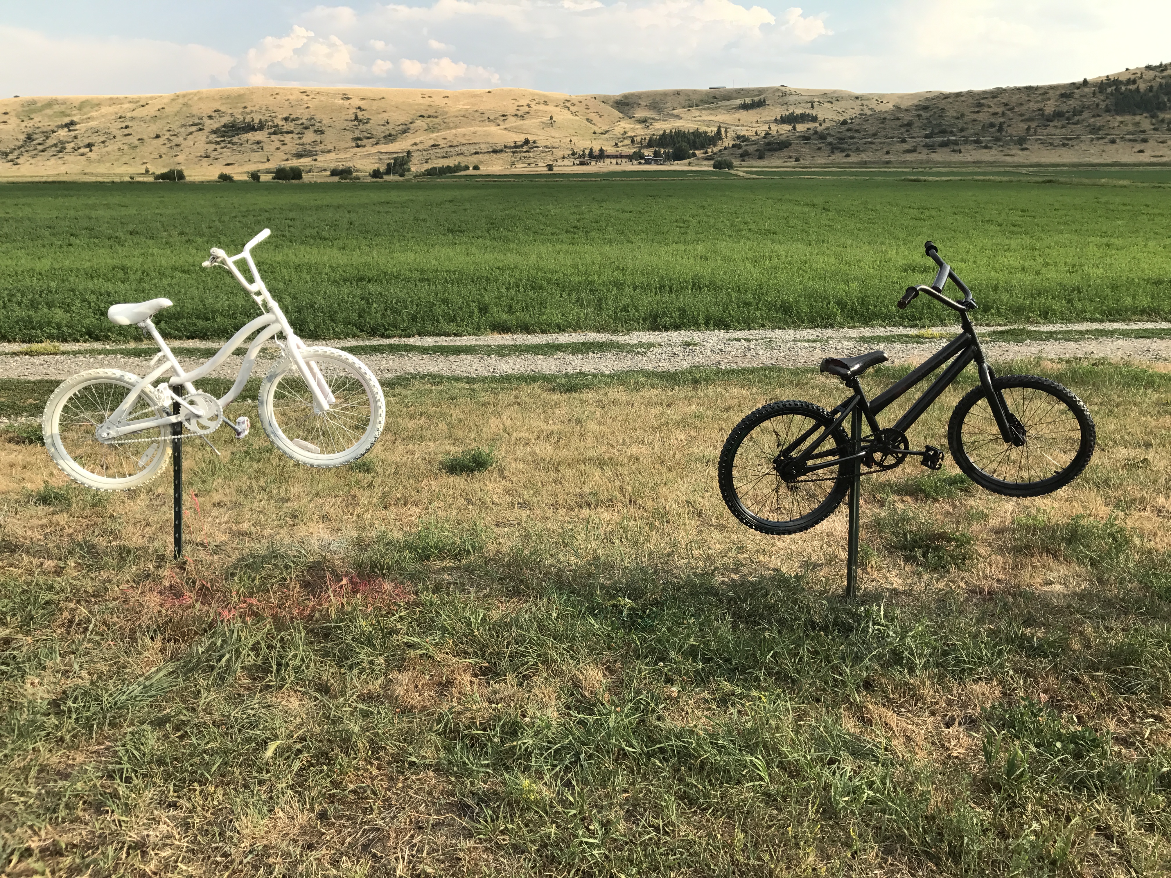 Black White Bikes