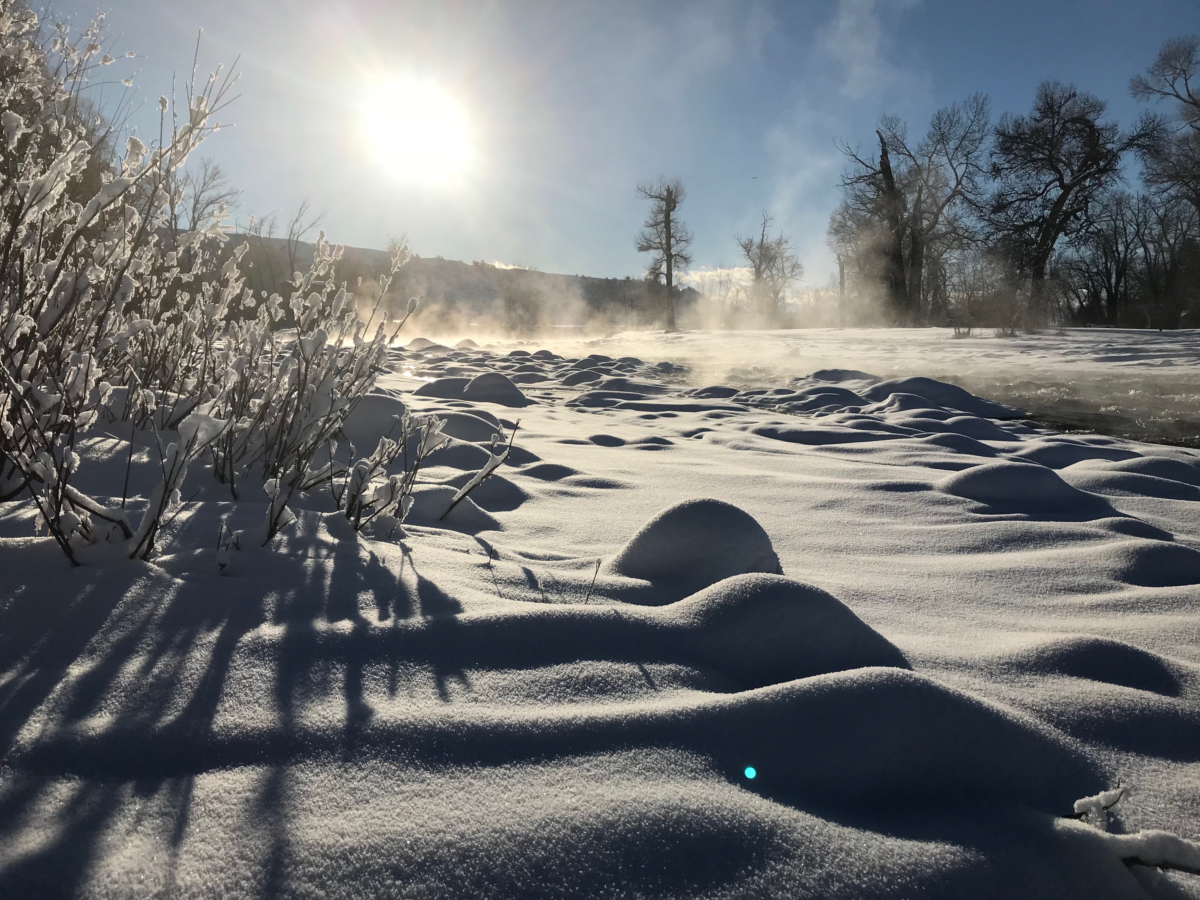 Evening Snow Absarokee
