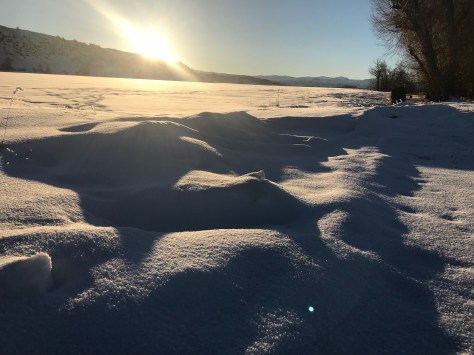 Snowy Sunset