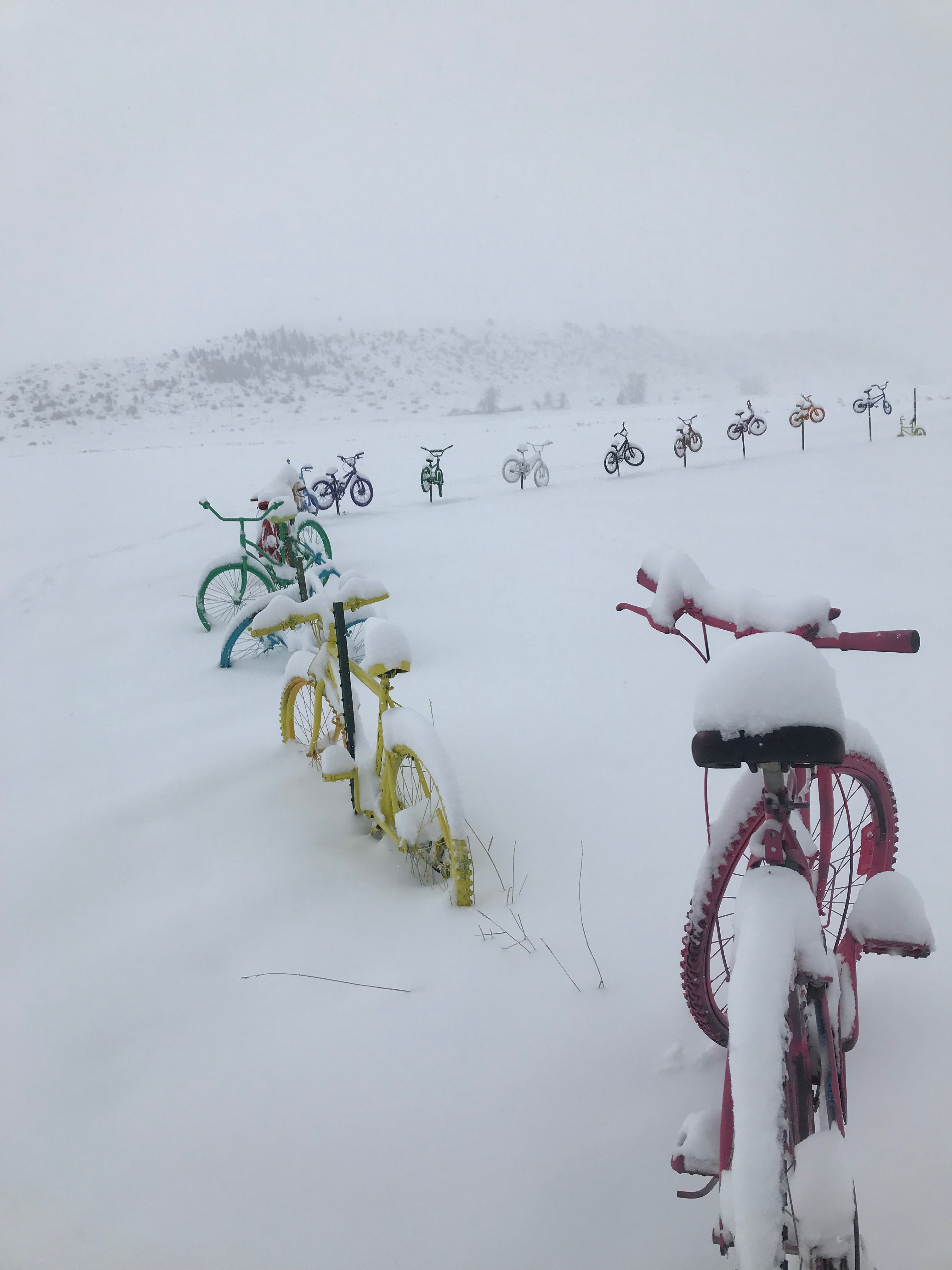 Bikes Snow 3
